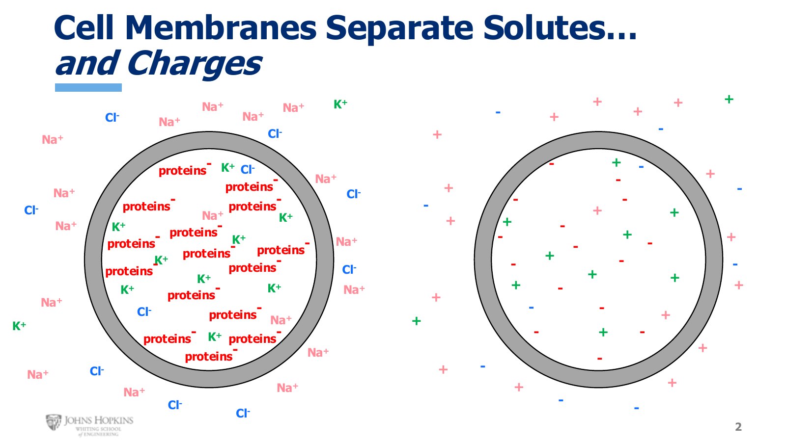 Slide 2: The same solute map from Module 1, then stripped down to charges alone, then to net charge per compartment.