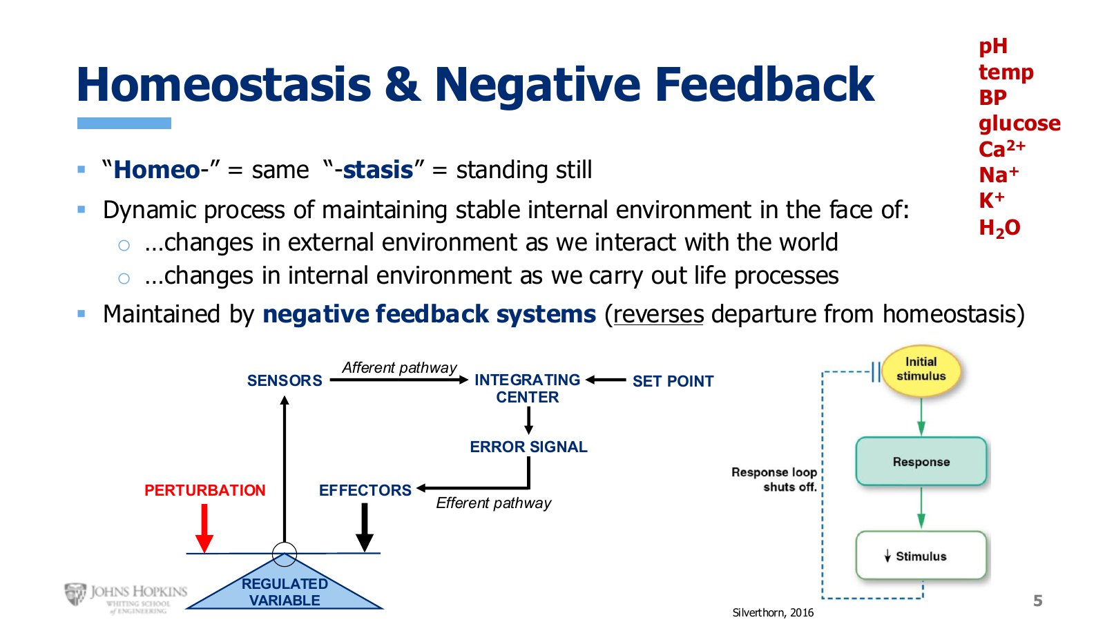 Slide 5: The negative feedback schematic. This diagram returns repeatedly through the semester, so learn to read it fluently.