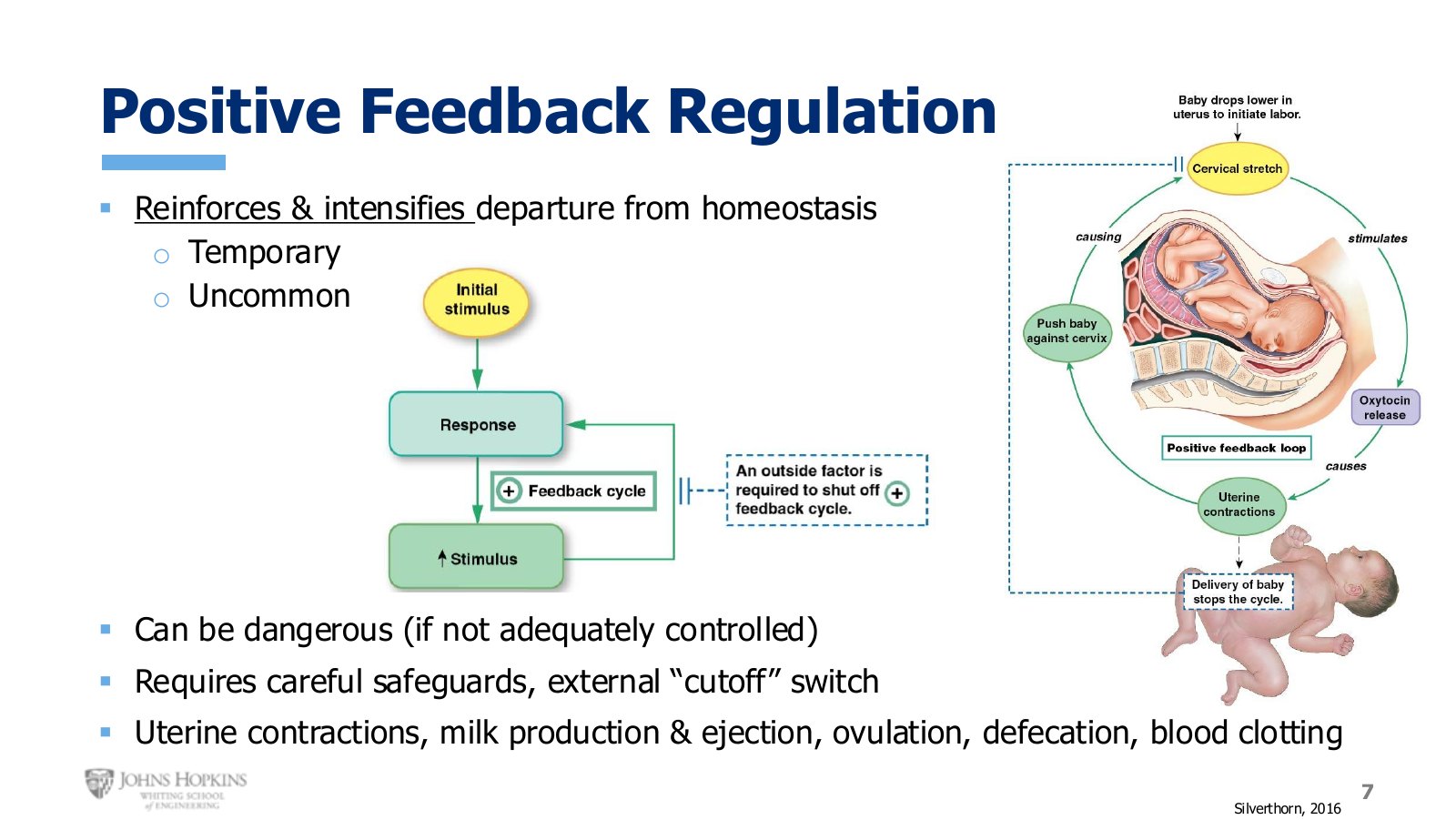 Slide 7: Positive feedback reinforces a departure rather than reversing it, so every loop needs an outside factor to shut it off.