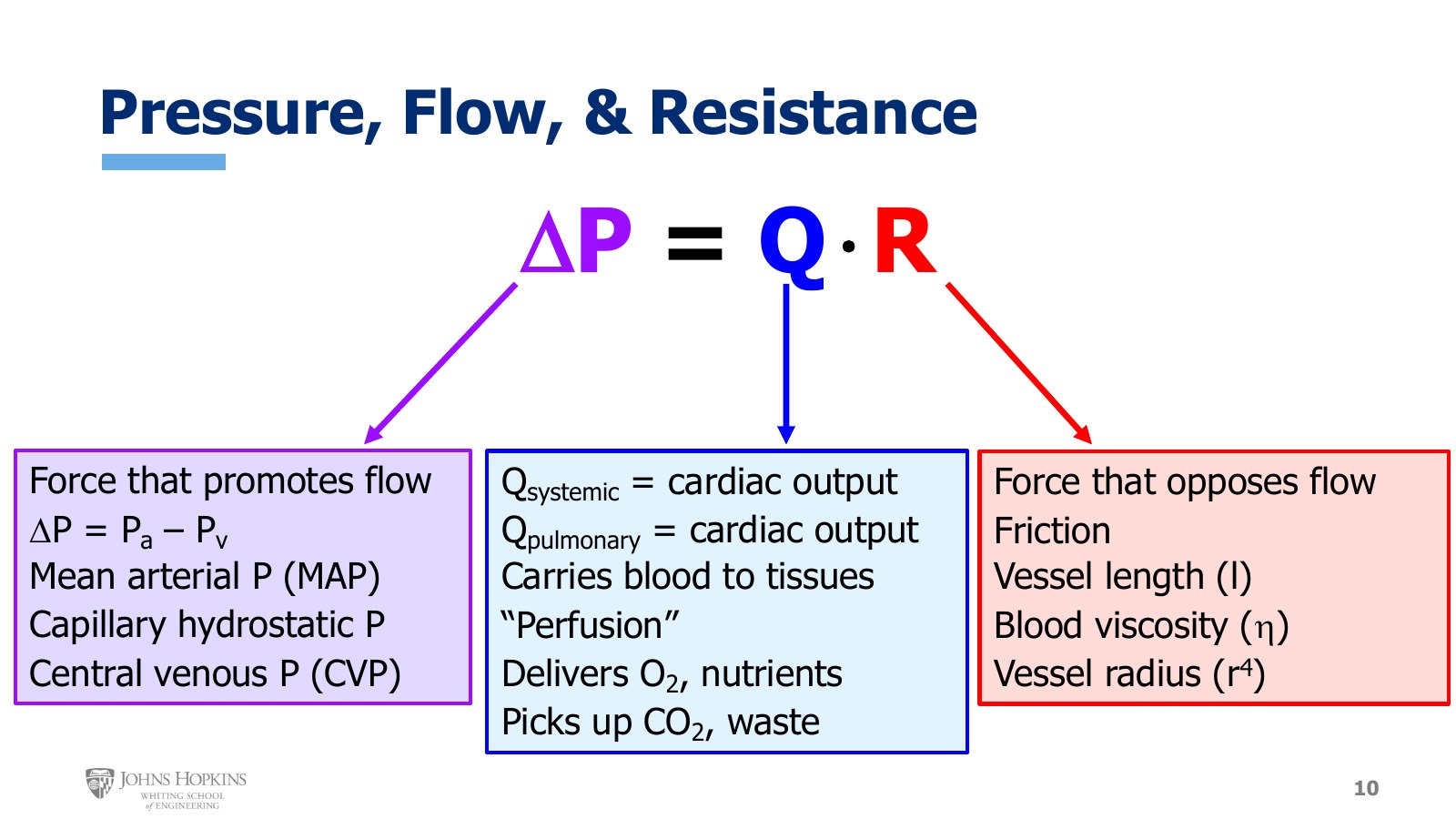 Slide 10: Ohm's law rearranged as ΔP = Q · R, with what each term means in the vasculature.