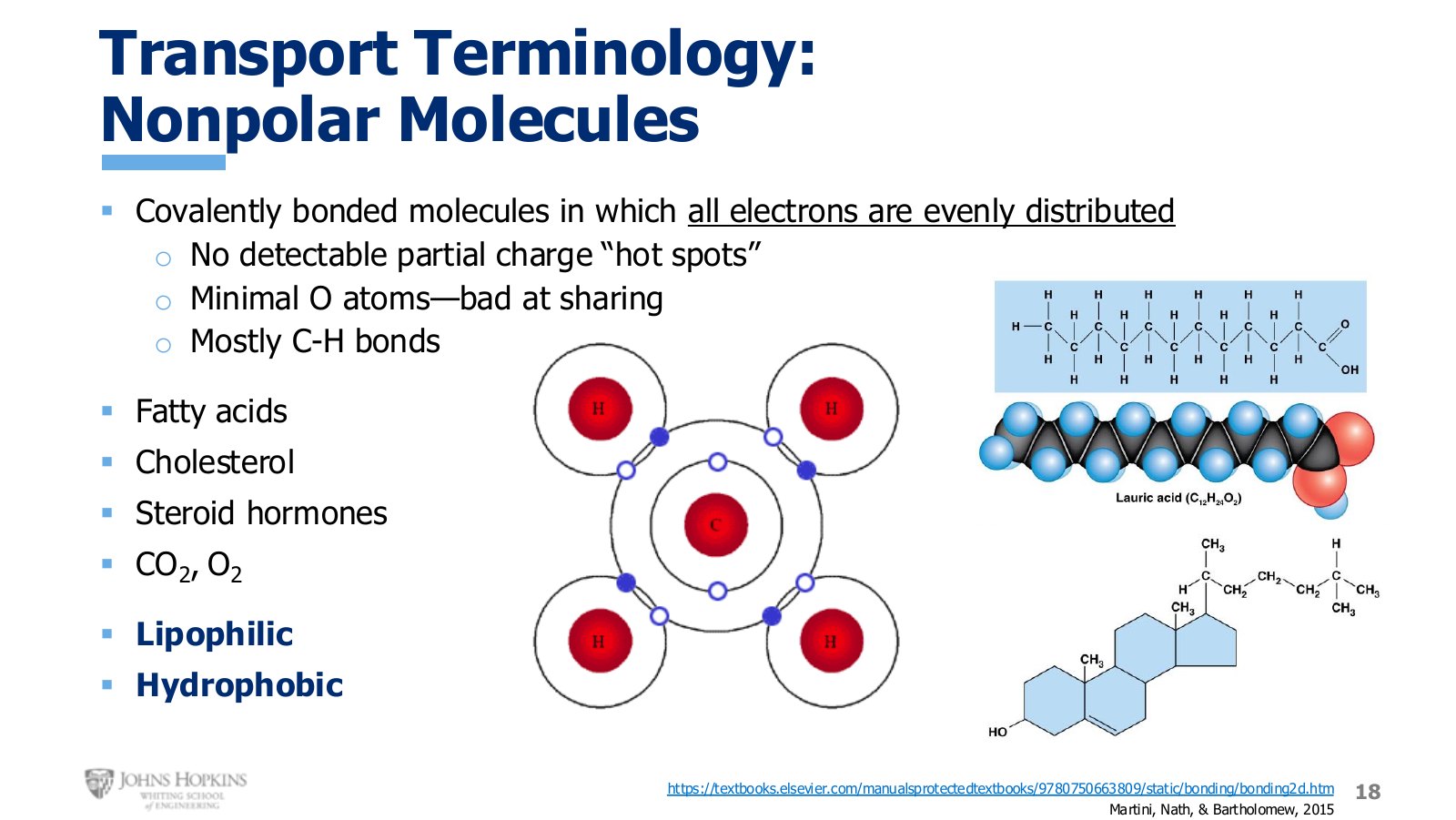 Slide 18: Nonpolar molecules. Lots of carbon-hydrogen bonds, very few oxygens.