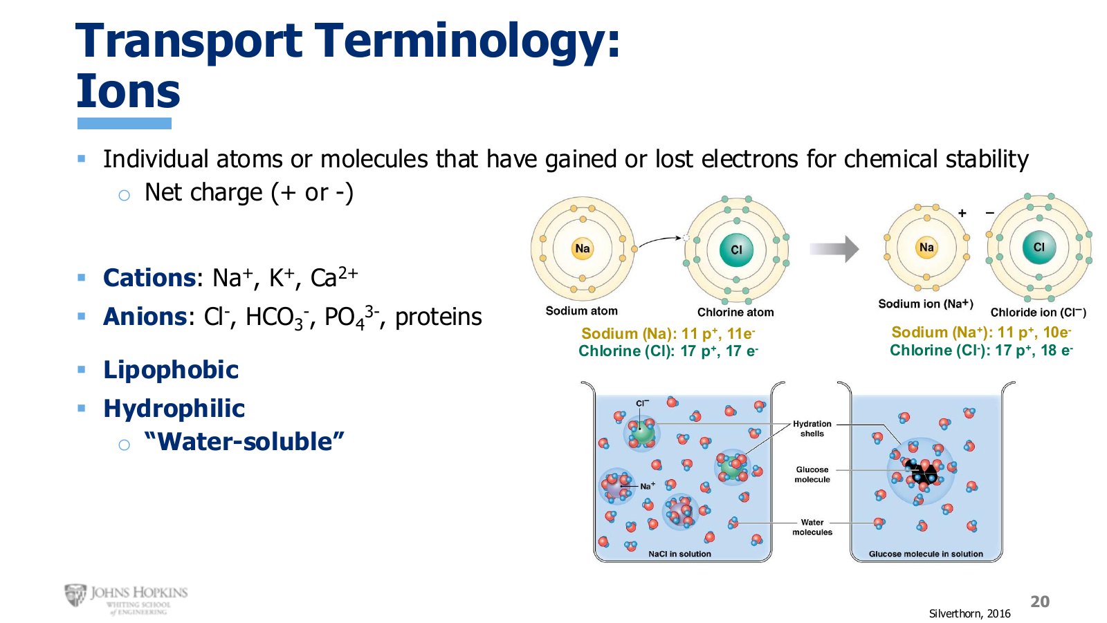 Slide 20: Sodium loses one electron, chlorine gains one. Both end up with a full outer shell and a net charge.