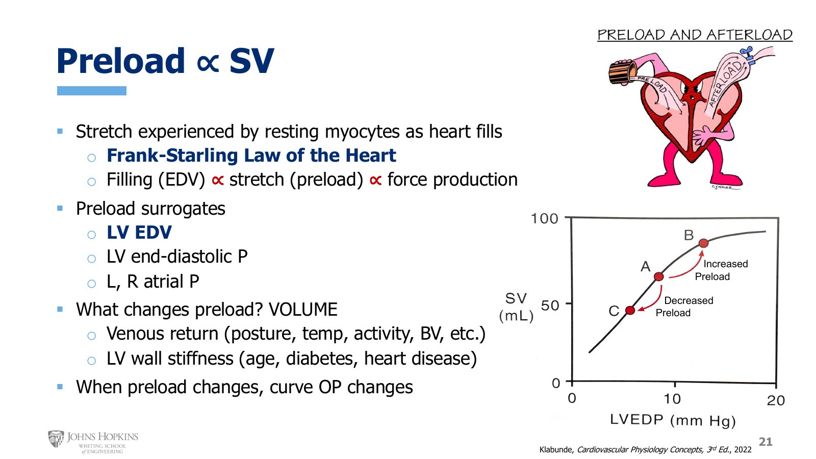 Slide 21: The Starling curve for the intact heart, stroke volume against LVEDP. Preload changes move the operating point along the curve, A to B or A to C.