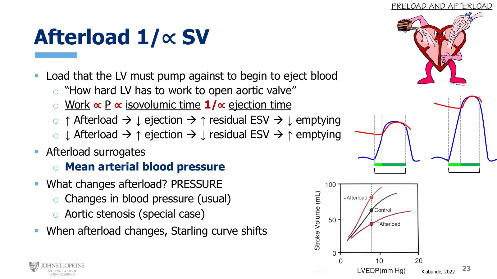 Slide 23: Two left ventricular pressure tracings with isovolumic time in light green and ejection in dark green, and the Starling curve shifting with afterload.