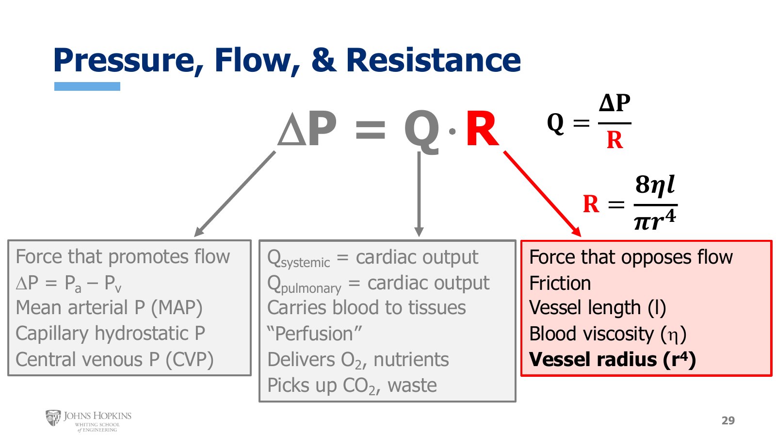Slide 29: The overview a final time, with R highlighted beside Q = ΔP/R and R = 8ηl/πr⁴. Vessel radius is in bold.