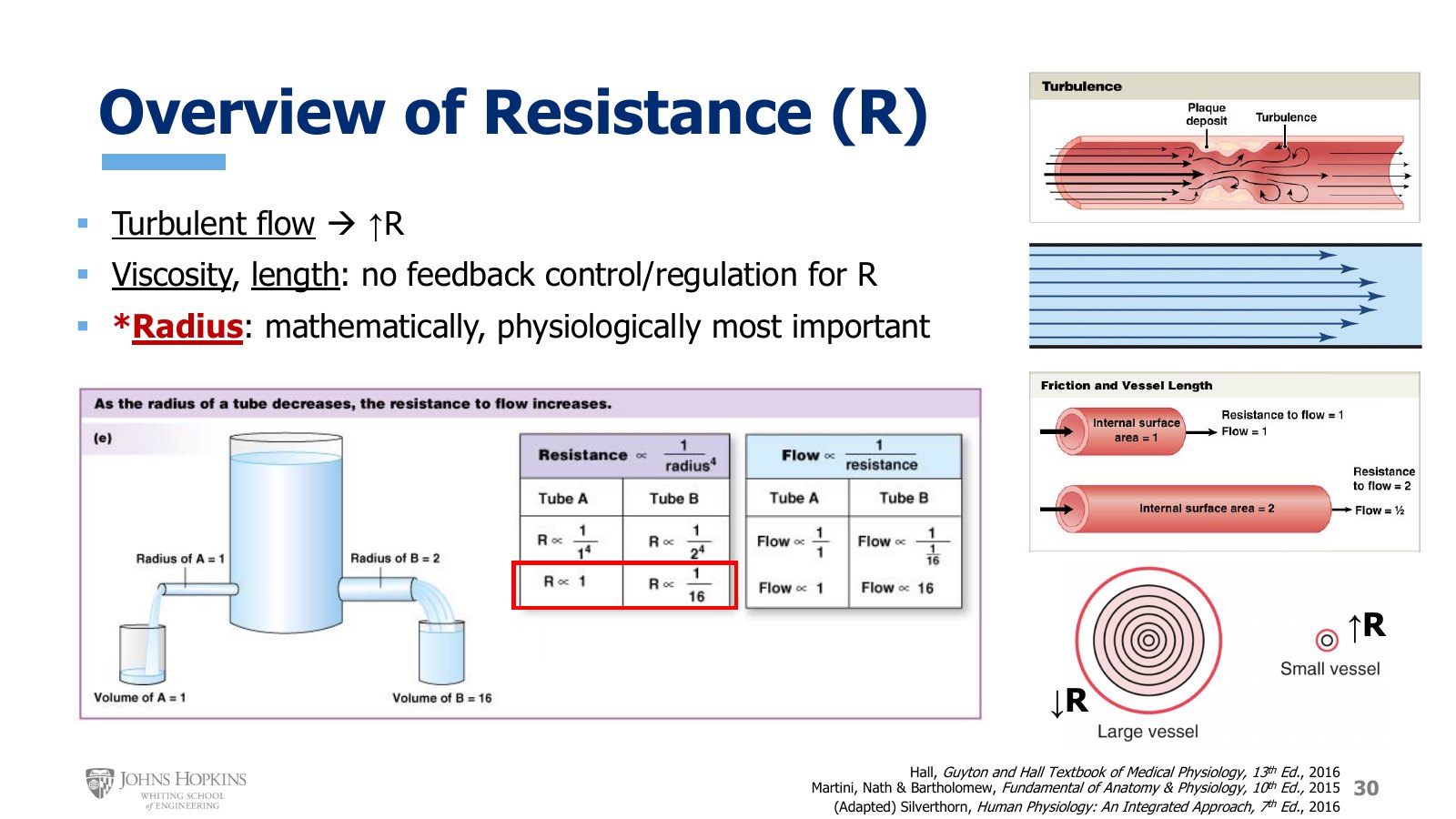 Slide 30: Turbulence past a plaque deposit, friction doubling with doubled vessel length, the tube A and tube B comparison of radius, resistance, and flow, and many laminae in a large vessel against one in a small vessel.
