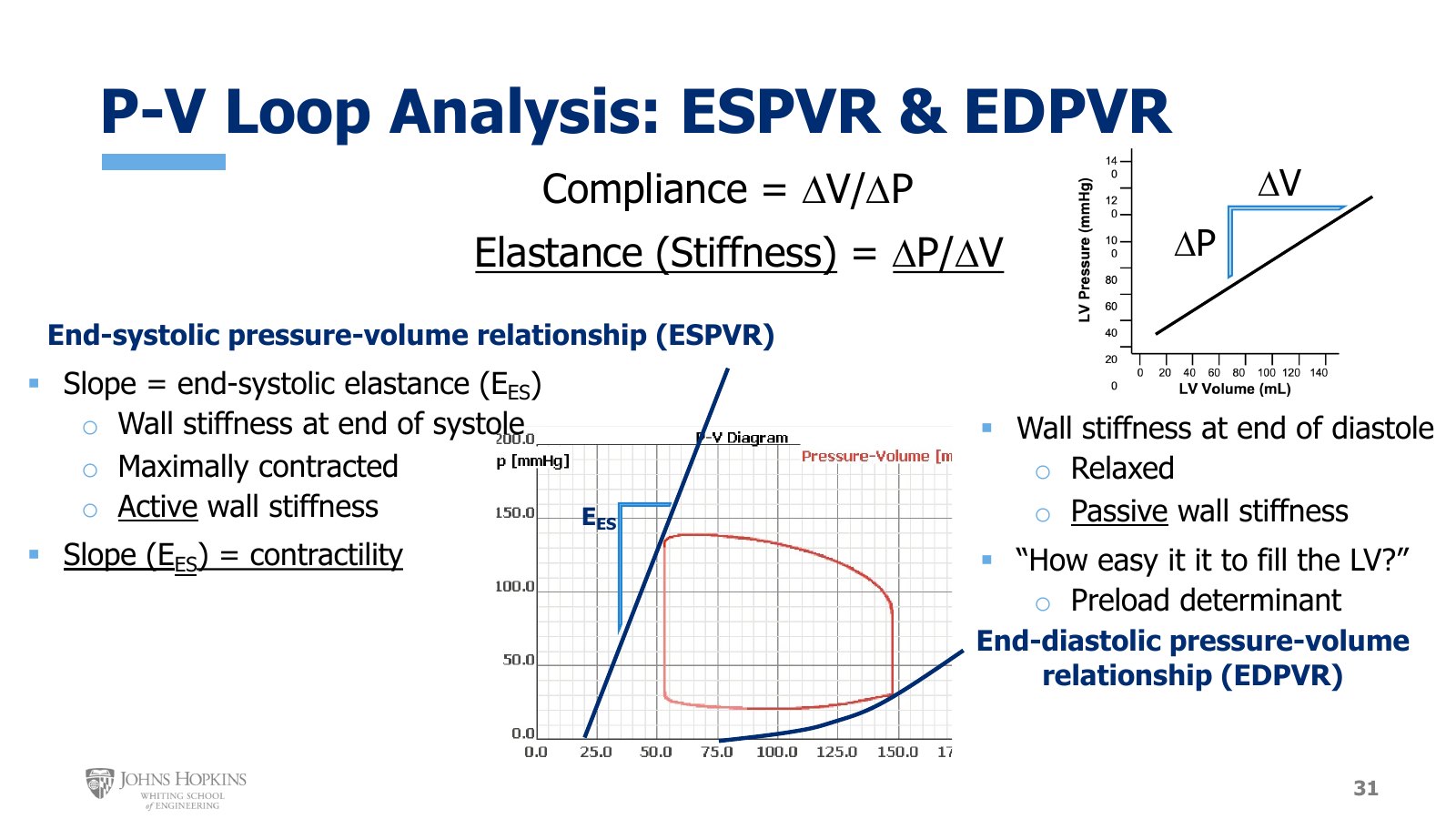 Slide 31: Compliance and elastance defined, with a family of simulated loops. ESPVR is the line through the end-systolic corners, EDPVR the curve through the end-diastolic corners.