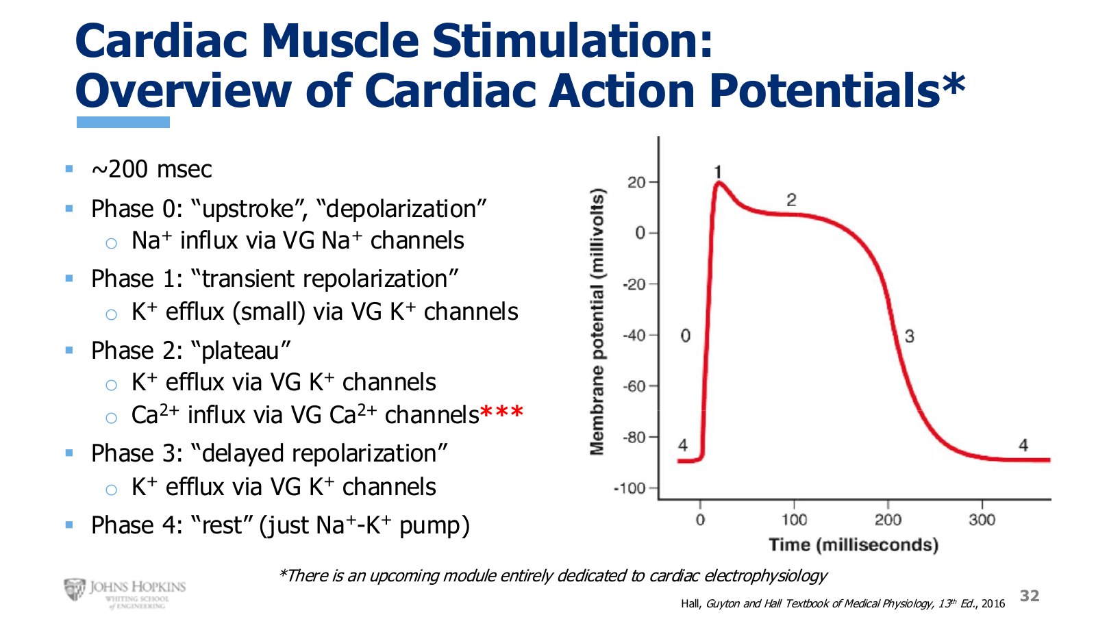 Slide 32: Five numbered phases across roughly 200 ms. The plateau is what makes it unlike anything before it.