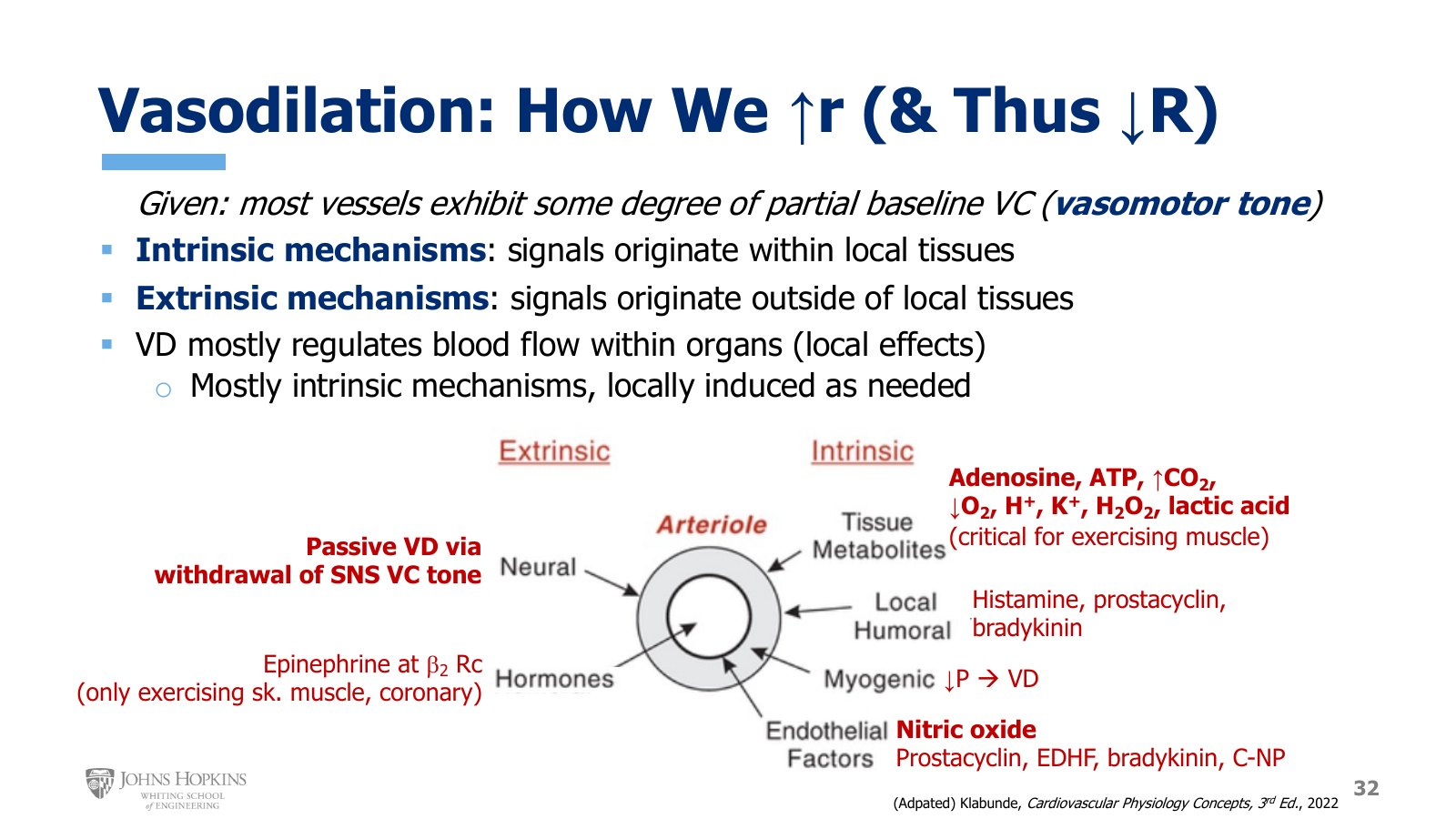 Slide 32: Signals that dilate an arteriole. Extrinsic: neural (passive dilation on withdrawal of sympathetic tone) and hormonal (epinephrine at beta-2 receptors). Intrinsic: tissue metabolites, local humoral factors, myogenic response, and endothelial factors.