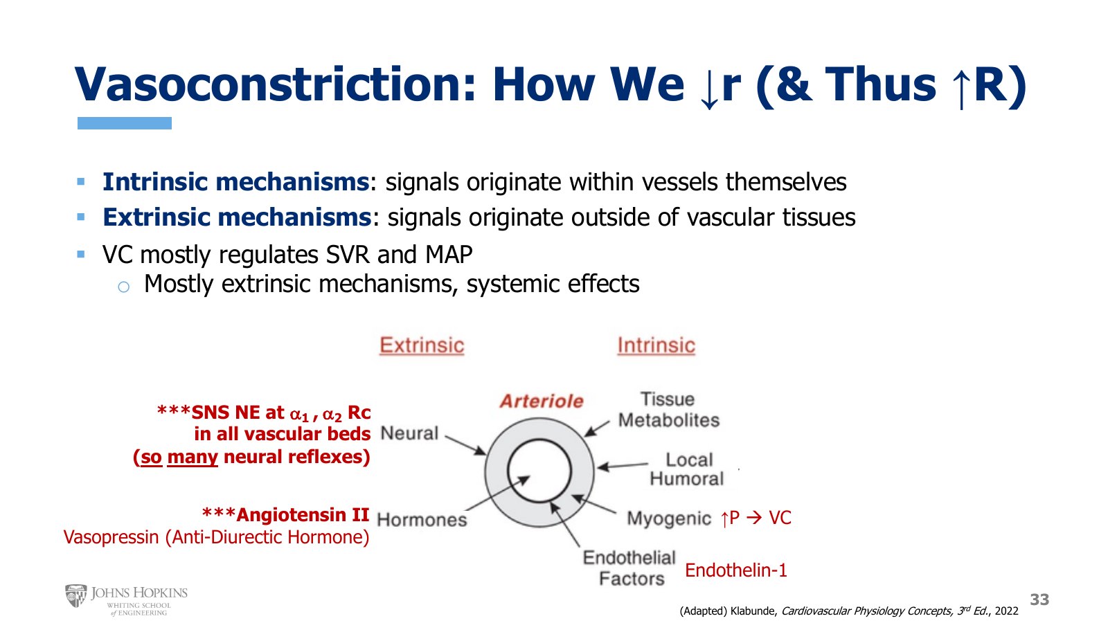 Slide 33: Signals that constrict an arteriole. Extrinsic: sympathetic norepinephrine at alpha-1 and alpha-2 receptors in all vascular beds, angiotensin II, and vasopressin. Intrinsic: the myogenic response and endothelin-1.